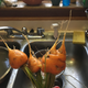 Grew these.